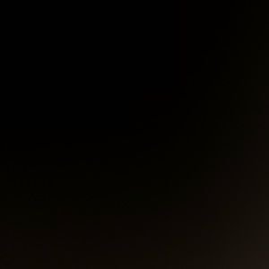 Meet your Posher, Sasha